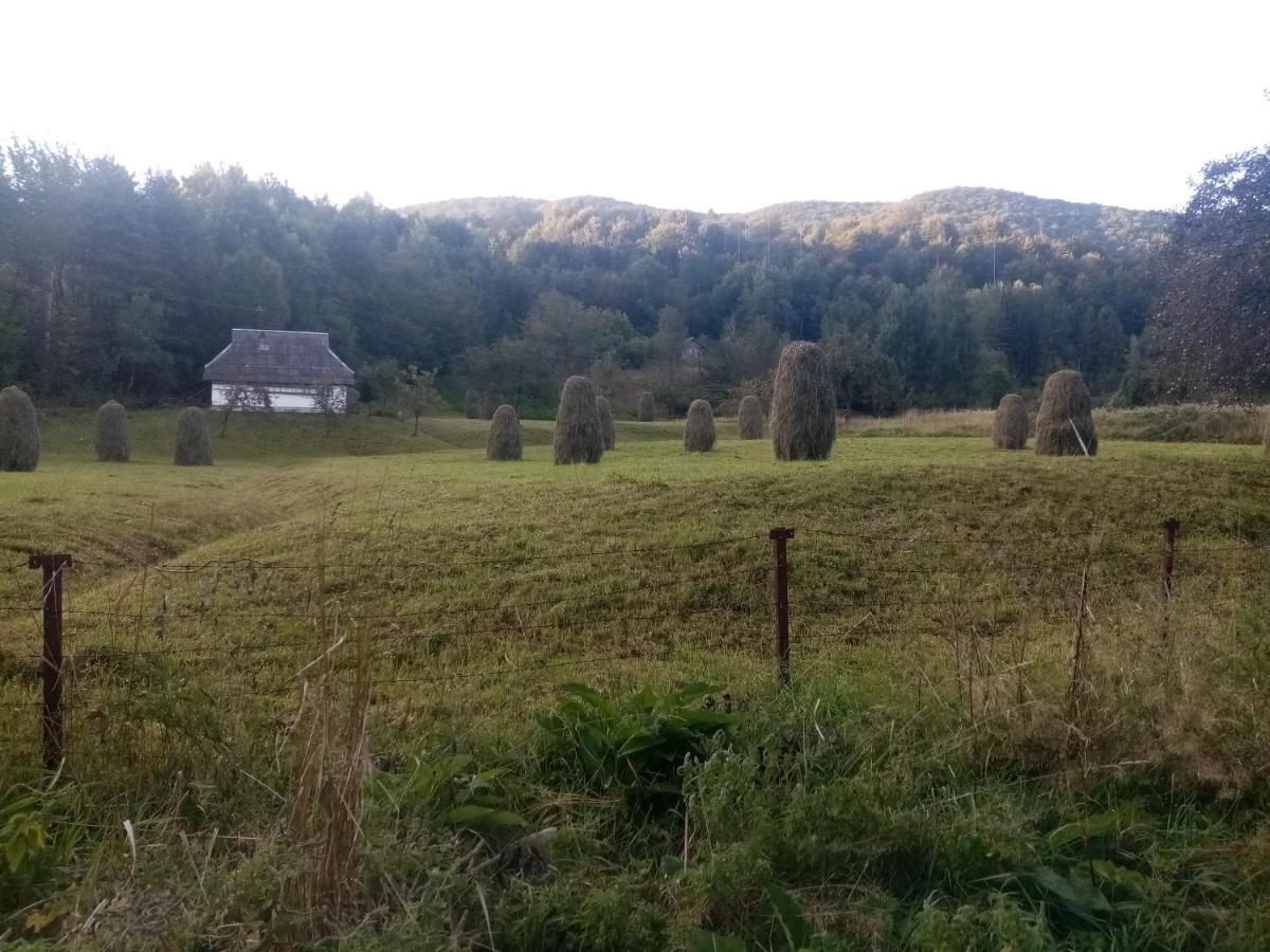 Садиба Федорчуків За Рікою Scheschory Exterior foto